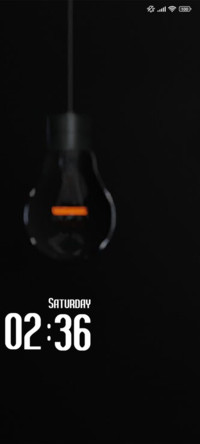 Bulb