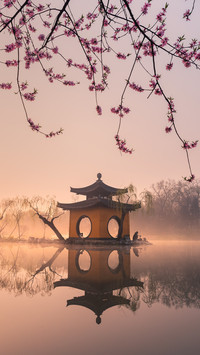 Unique and beautiful scenery thin West Lake 4