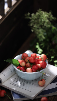 Chinese little cherry guide