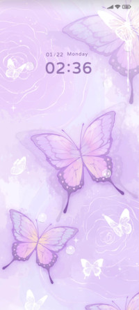 Dream butterfly