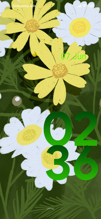 pastel daisy