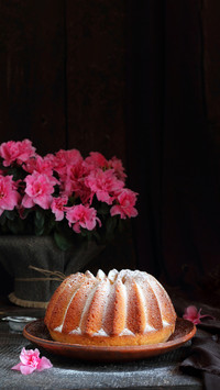 Pure and fresh and delicious yogurt cake