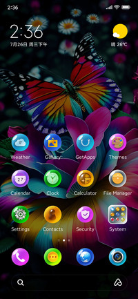 Butterfly Love