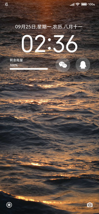 发光的海