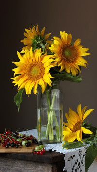How to insert a large caliber vase 60