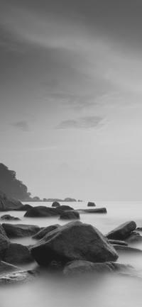 Black and white world-PAIXIN