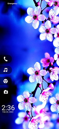Blossom On
