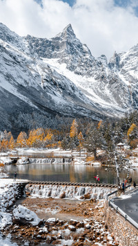 Snowy Aftermath of Colorful Forests