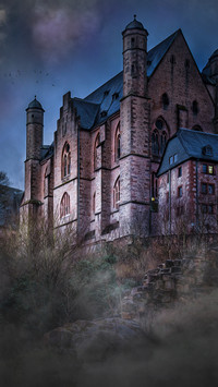 Fancy a castle (2)