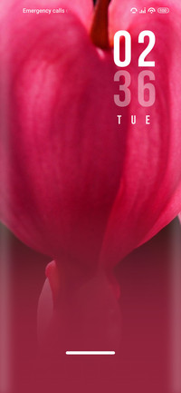 Valentine_heart