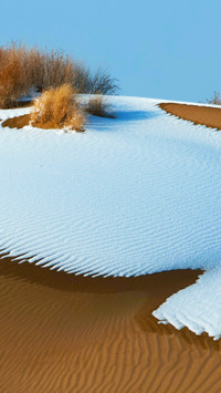 The snowy land renews with lush greenery