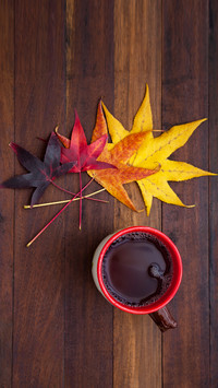 International-autumn