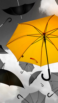 Umbrella story (9)