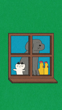 猫咪的捣蛋时刻