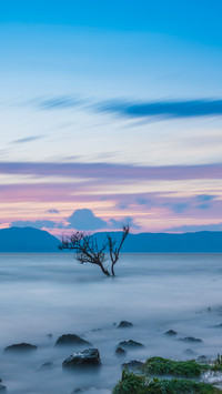 Sunset Scenery of Dianchi Wetland in Kunming, Yunnan