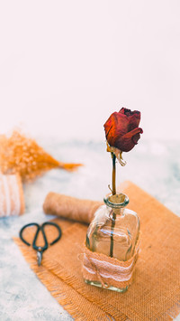 Glass bottle, scissors, burlap. Set for handmade vase