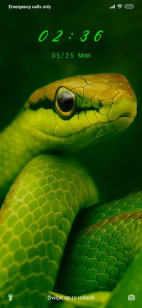 Reptile_3MDP