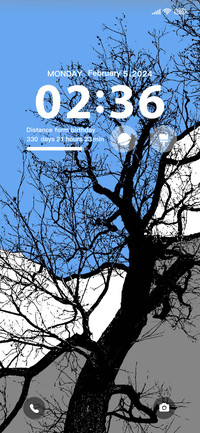 dead wood spring