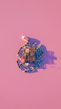 Earth From Above 2 