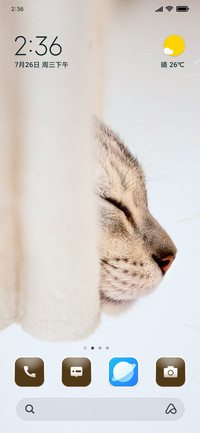 Kitty