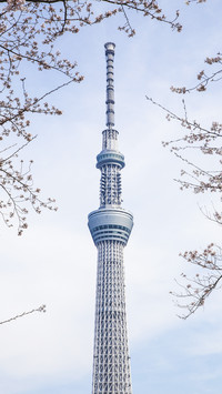 Tokyo Sky Tree