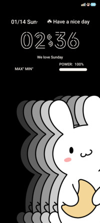 rabbit