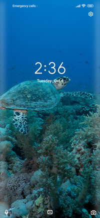 Ocean