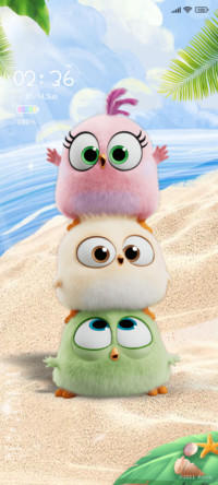 Angry birds beach