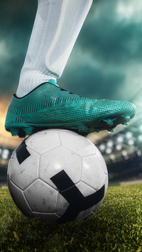 a soccer striker ready to kicks the ball at the stadium