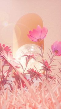Pink flowering plants