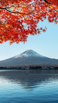Who can own mount fuji by love