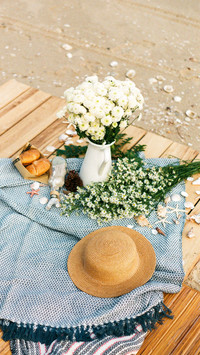 Picnic Photo Guide 2