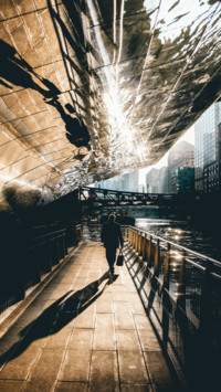 Urban Jungle (7)
