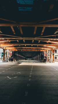 Urban Jungle (6)