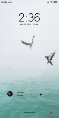 SeaGulls_DWM19