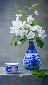 花开有声 岁月静好