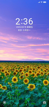 唯美清新向日葵