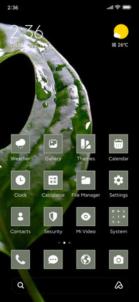 Leaf