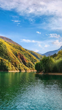 The autumn lake is lush and green