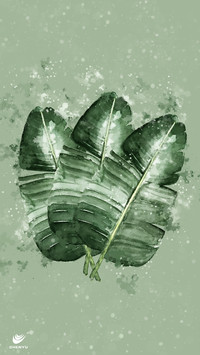 辰宇文创-植物叶子