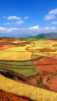 The red soil reflects the clouds and rosy clouds