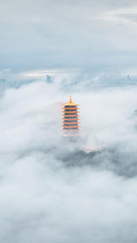 安逸而文雅的都市