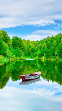 Lake Landscape in the Forest