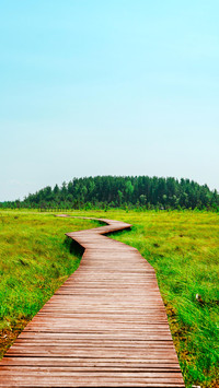 Quiet Nature Trail, beautiful landscape