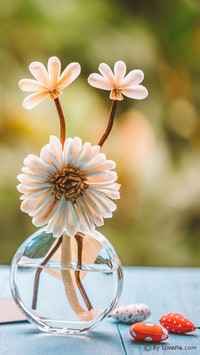 LovePik_plant (1)