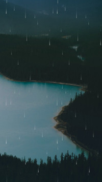 山间林雨