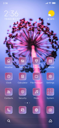 Dandelion