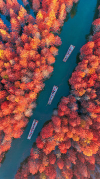 Where is a good place to travel in autumn 76