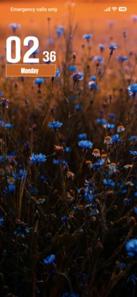 Blue Flowers