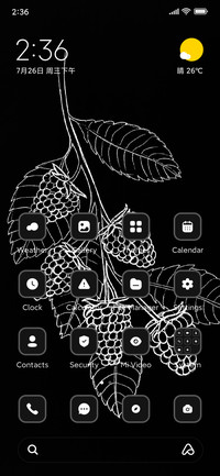 Black Strawberry